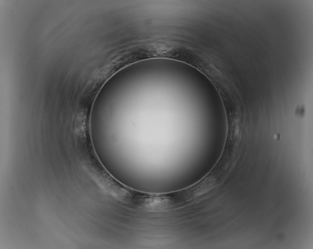 X0000112060274200908041222