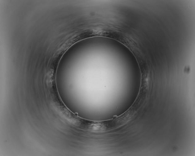 X0000112060275200908041222