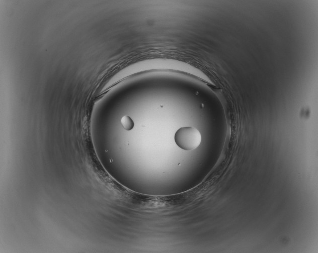 X0000112060276200908041222