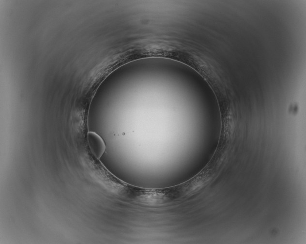 X0000112060278200908041222