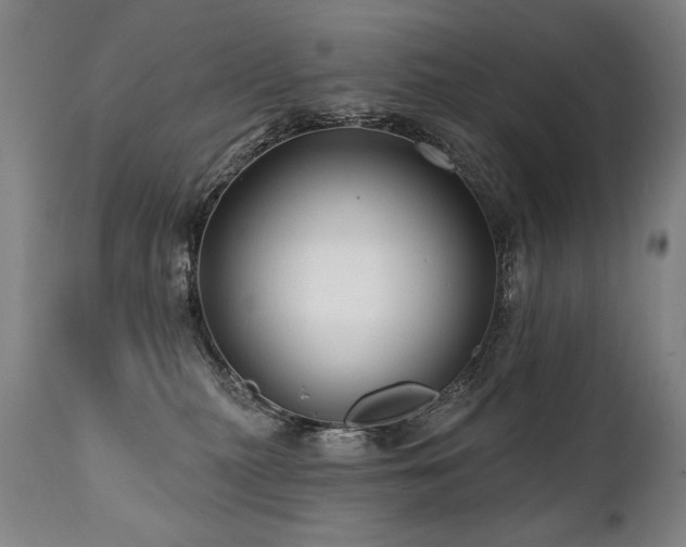 X0000112060279200908041222