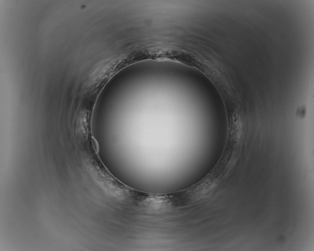X0000112060280200908041222