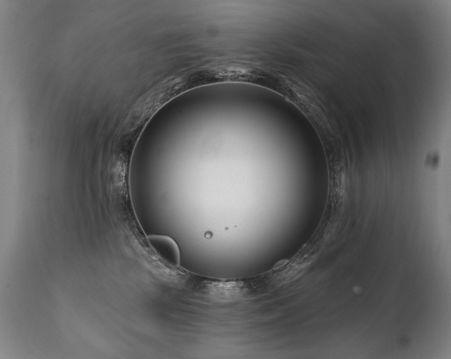 X0000112060281200908041222
