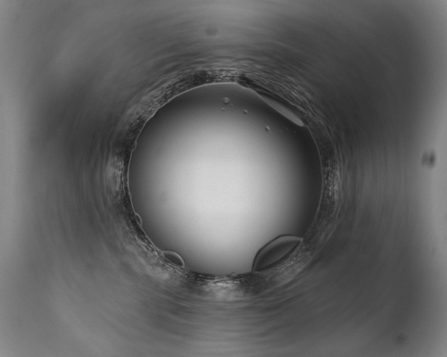 X0000112060283200908041222