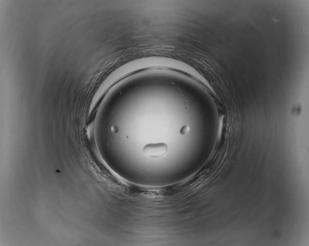 X0000112060284200908041222