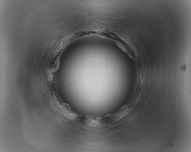 X0000112060285200908041222