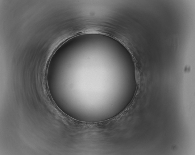 X0000112060289200908041221