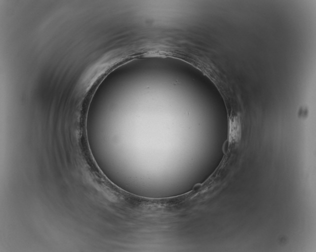 X0000112060291200908041221