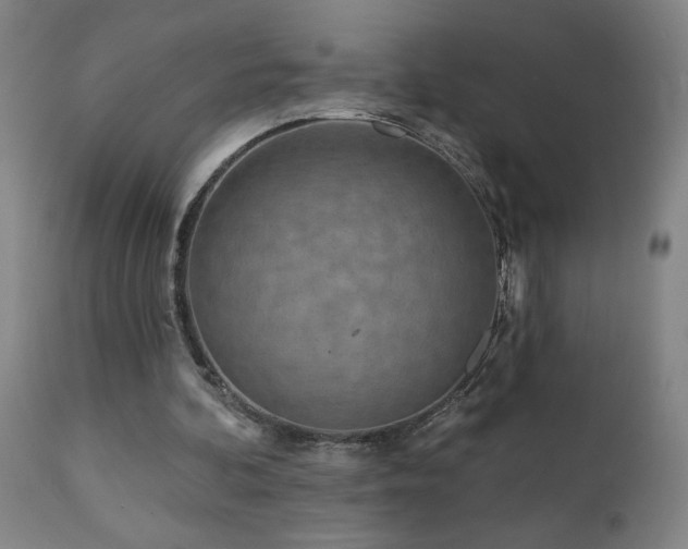 X0000112060292200908041221
