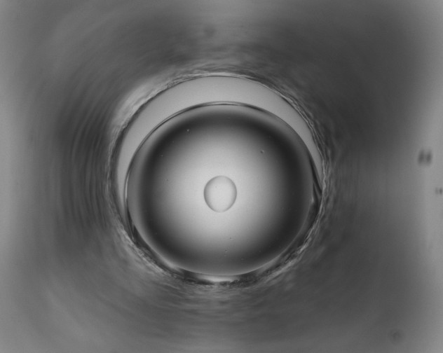 X0000112060293200908041221