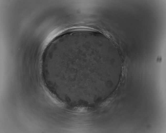 X0000112060295200908041221