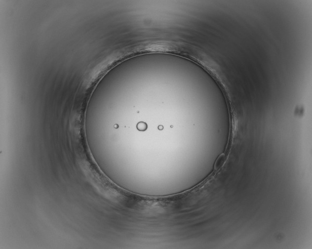 X0000112060297200908041221