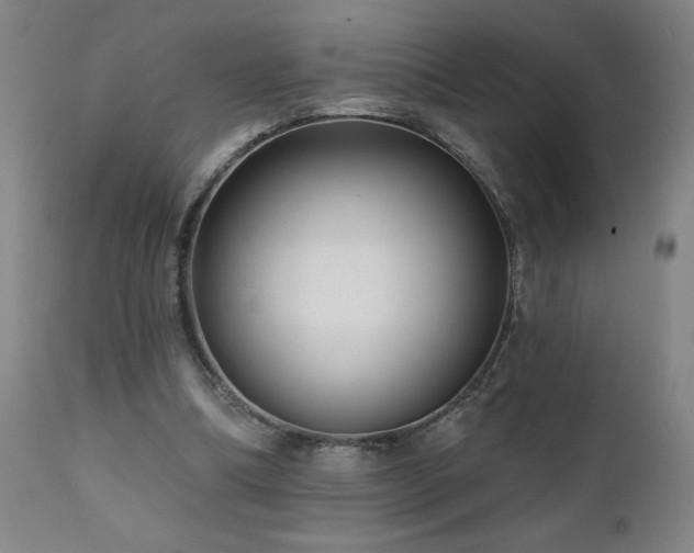 X0000112060298200908041221