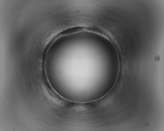 X0000112060299200908041221