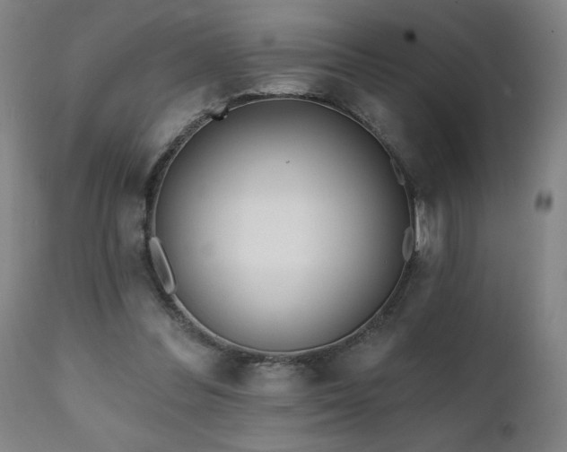 X0000112060300200908041221