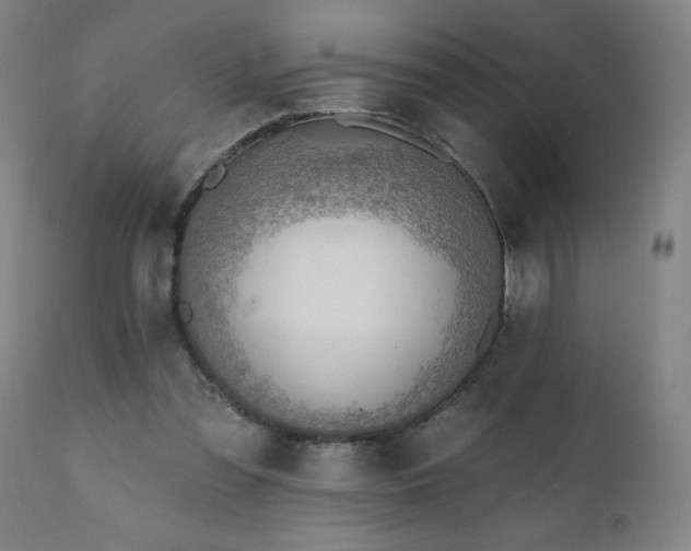X0000112060301200908041221