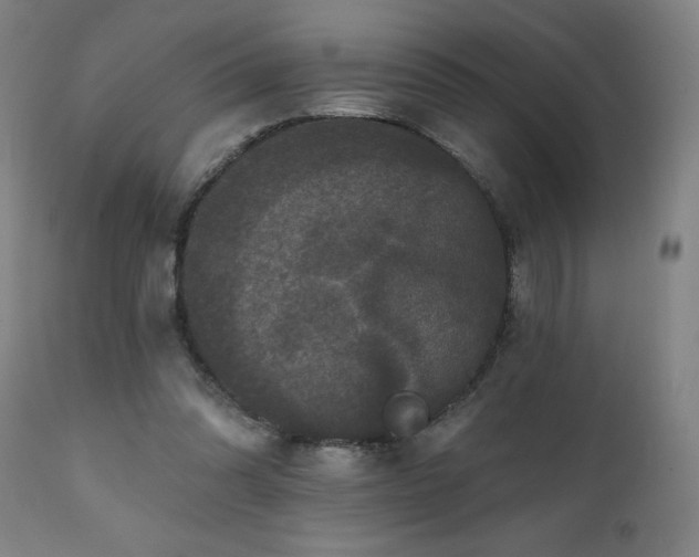 X0000112060302200908041221