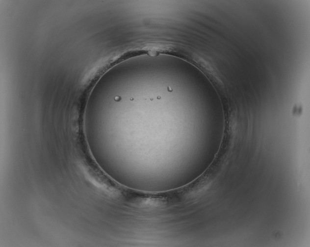 X0000112060303200908041221