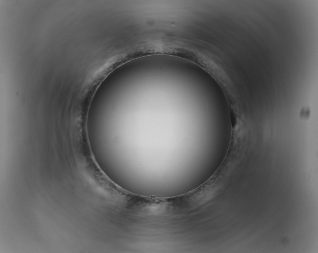 X0000112060306200908041221