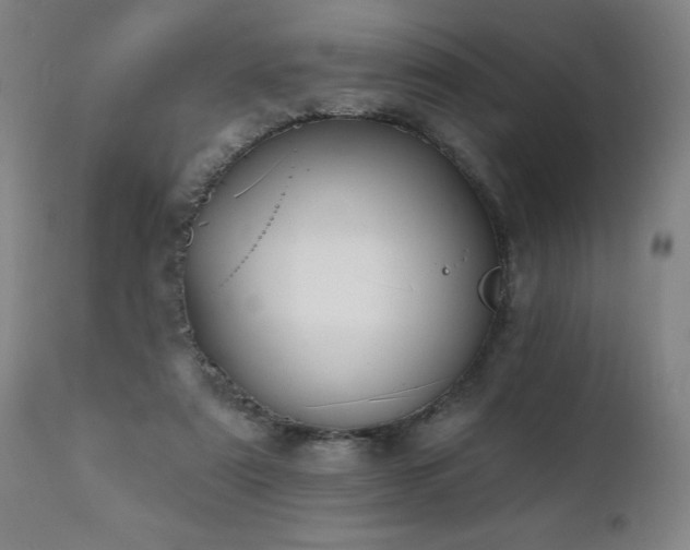 X0000112060307200908041221