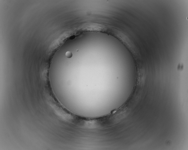 X0000112060309200908041220