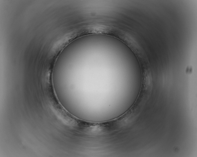 X0000112060310200908041220