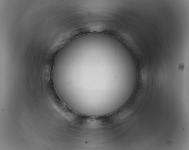 X0000112060311200908041220