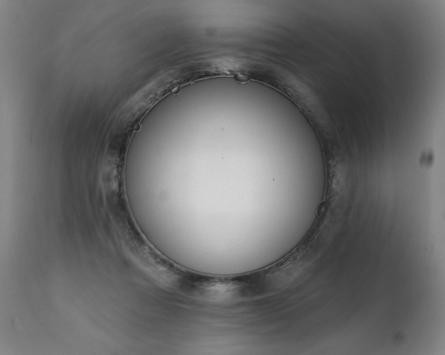 X0000112060313200908041220