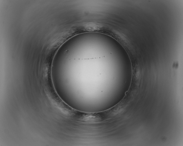 X0000112060315200908041220