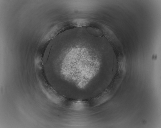 X0000112060316200908041220