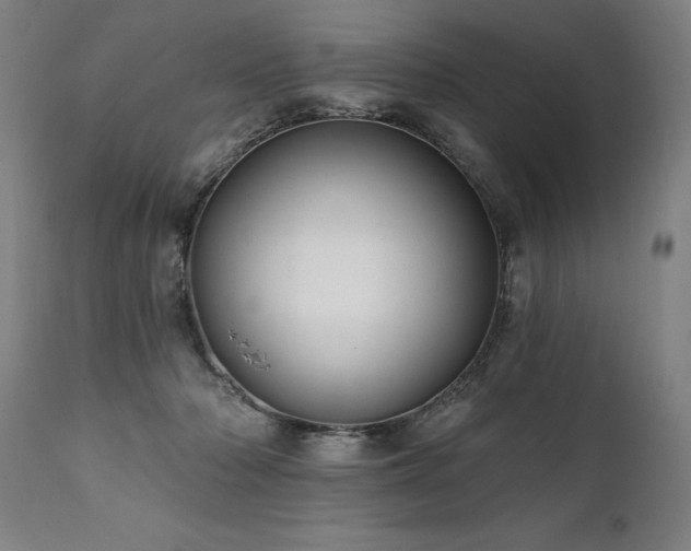 X0000112060318200908041220