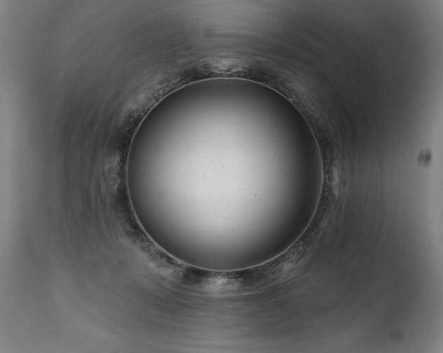 X0000112060319200908041220