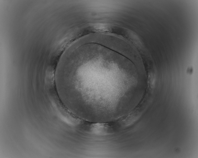 X0000112060320200908041220