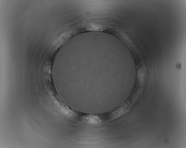 X0000112060322200908041220