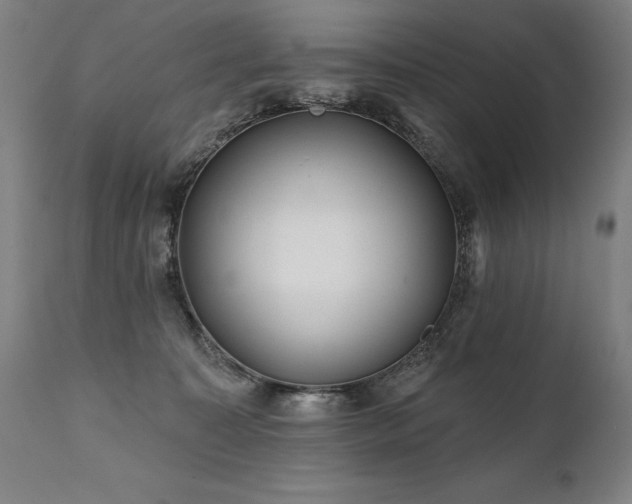 X0000112060323200908041220