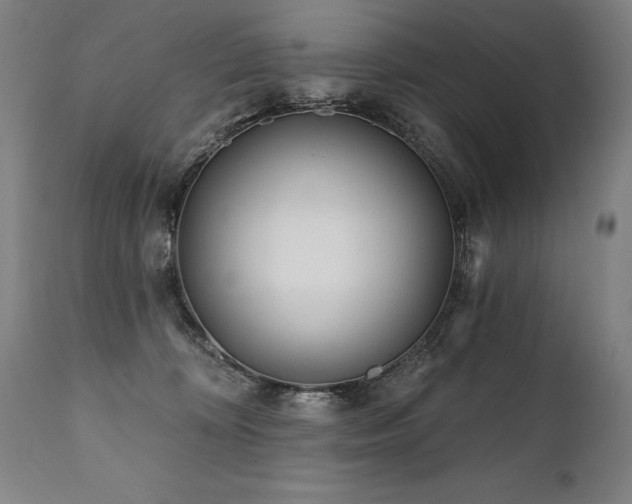 X0000112060324200908041220