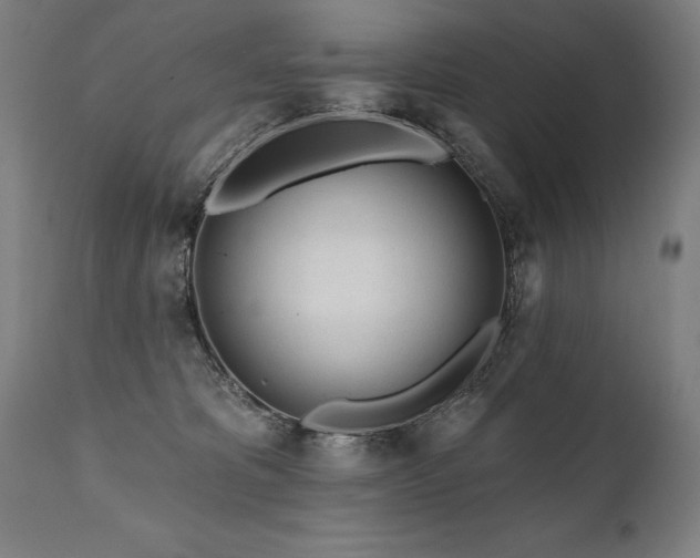 X0000112060325200908041220