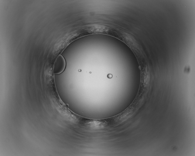 X0000112060326200908041220