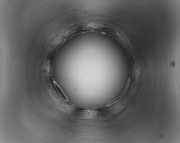 X0000112060328200908041220