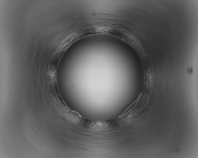 X0000112060329200908041220