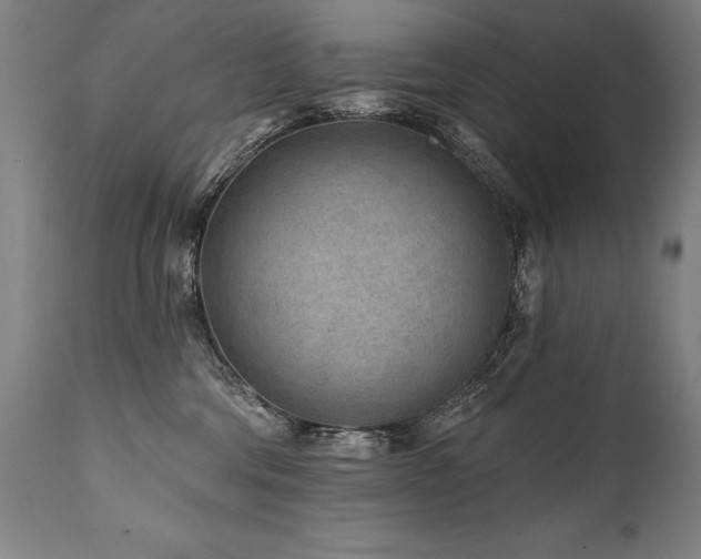 X0000112060330200908041220