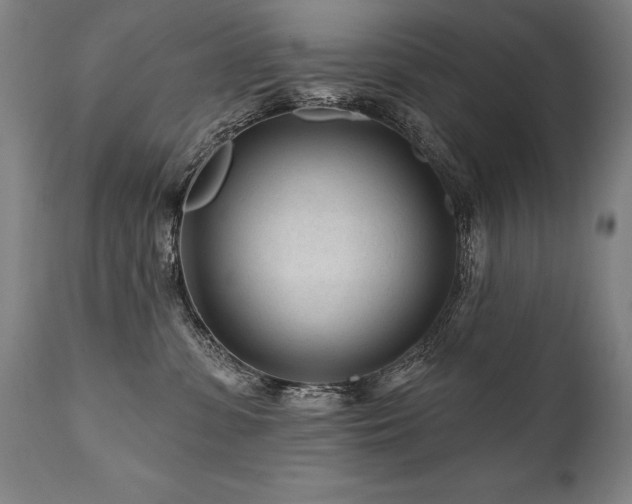 X0000112060331200908041220