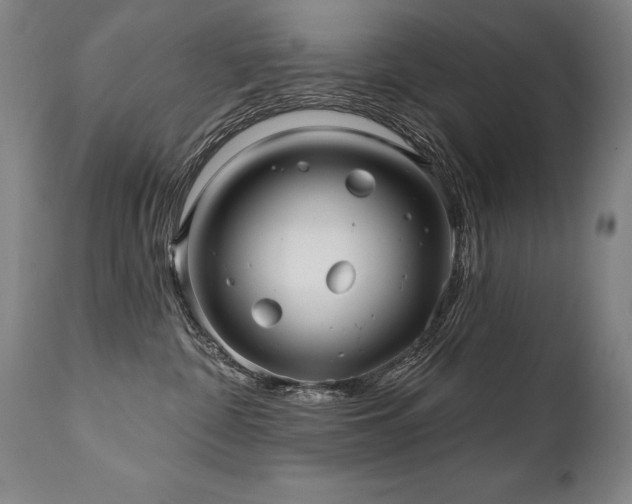 X0000112060332200908041220