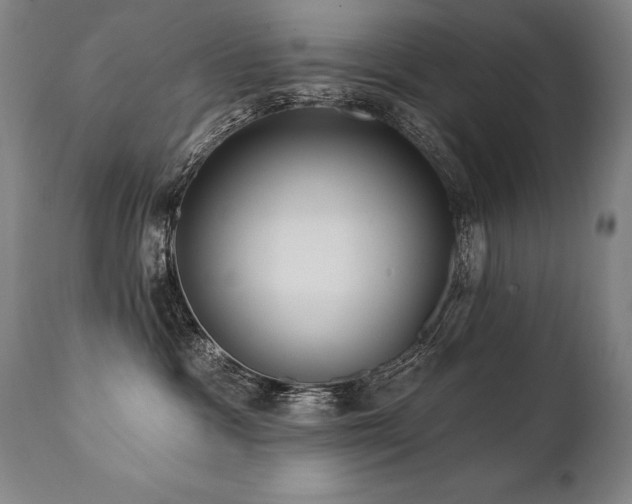 X0000112060333200908041220