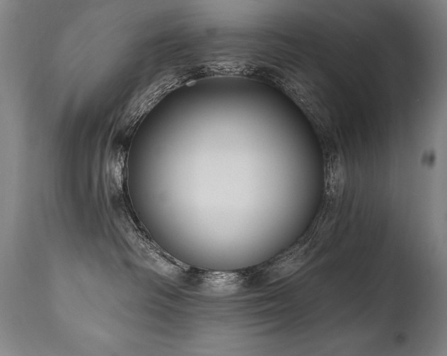 X0000112060334200908041220