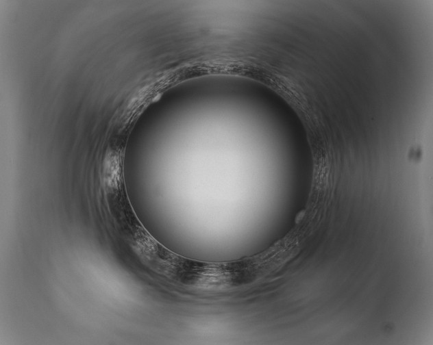 X0000112060335200908041220