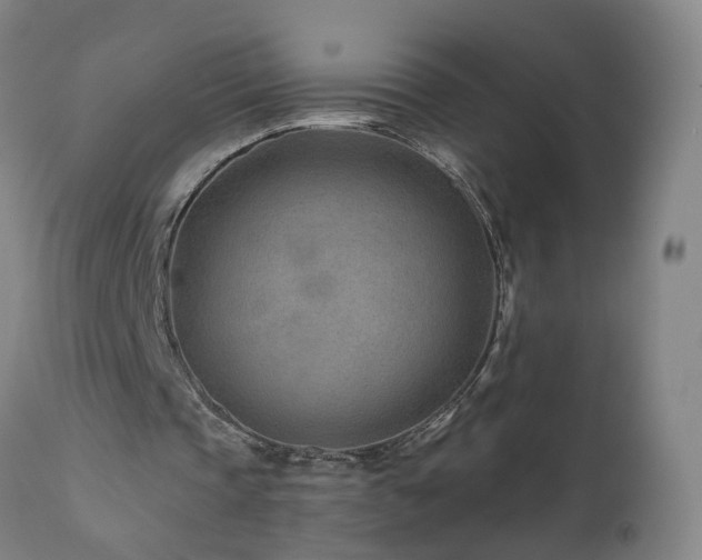 X0000112060337200908041219