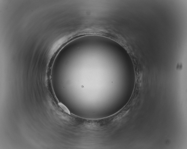 X0000112060340200908041219