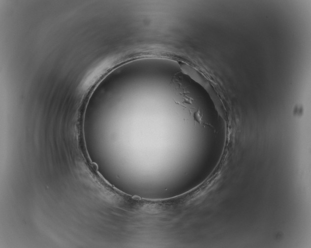 X0000112060341200908041219