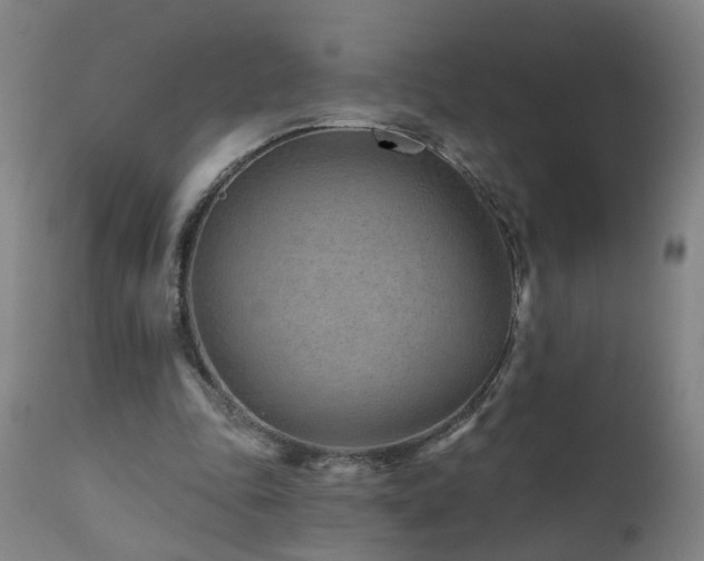 X0000112060343200908041219